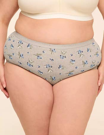 model wearing the underwear with the blueberry people shown from the front