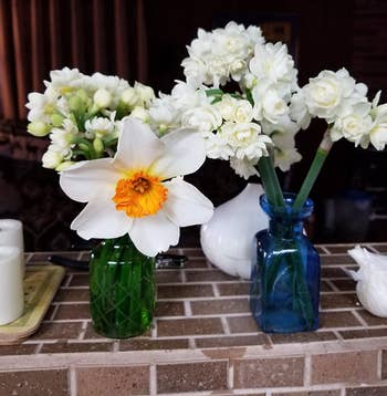 a reviewer photo of a closeup of the green and blue vases with flowers in them 