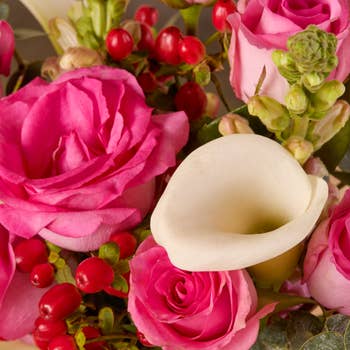 closeup of the flowers successful  the bouquet