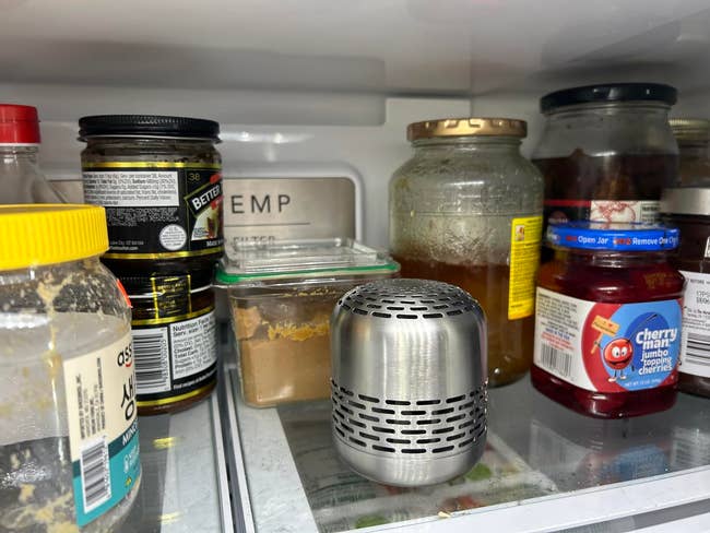 Stainless steel odor absorber surrounded by jars and condiments inside a refrigerator