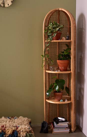 lifestyle photo of tall shelf with plants