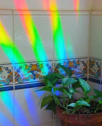 rainbows cast on a wall from the suncatcher in a window