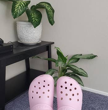 reviewer wearing light pink crocs
