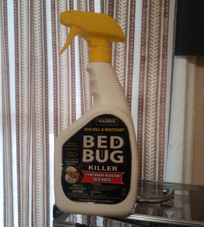 Harris bed bug spray bottle on a surface, labeled for killing and resisting bed bugs