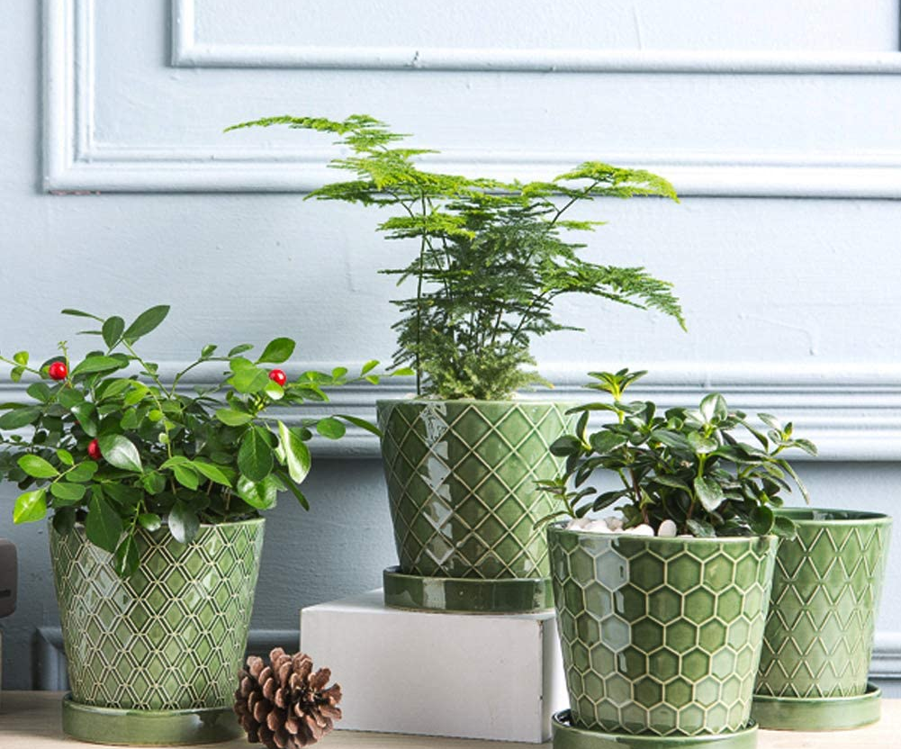 10 Cheap & Stylish Houseplant Pots 2023