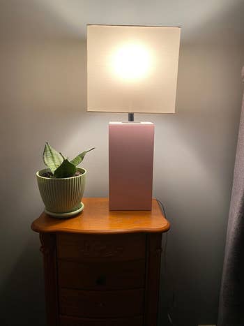 reviewer's lit lamp on nightstand with a potted plant beside it