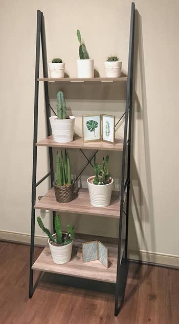 Reviewer image of the ladder shelf with several plants