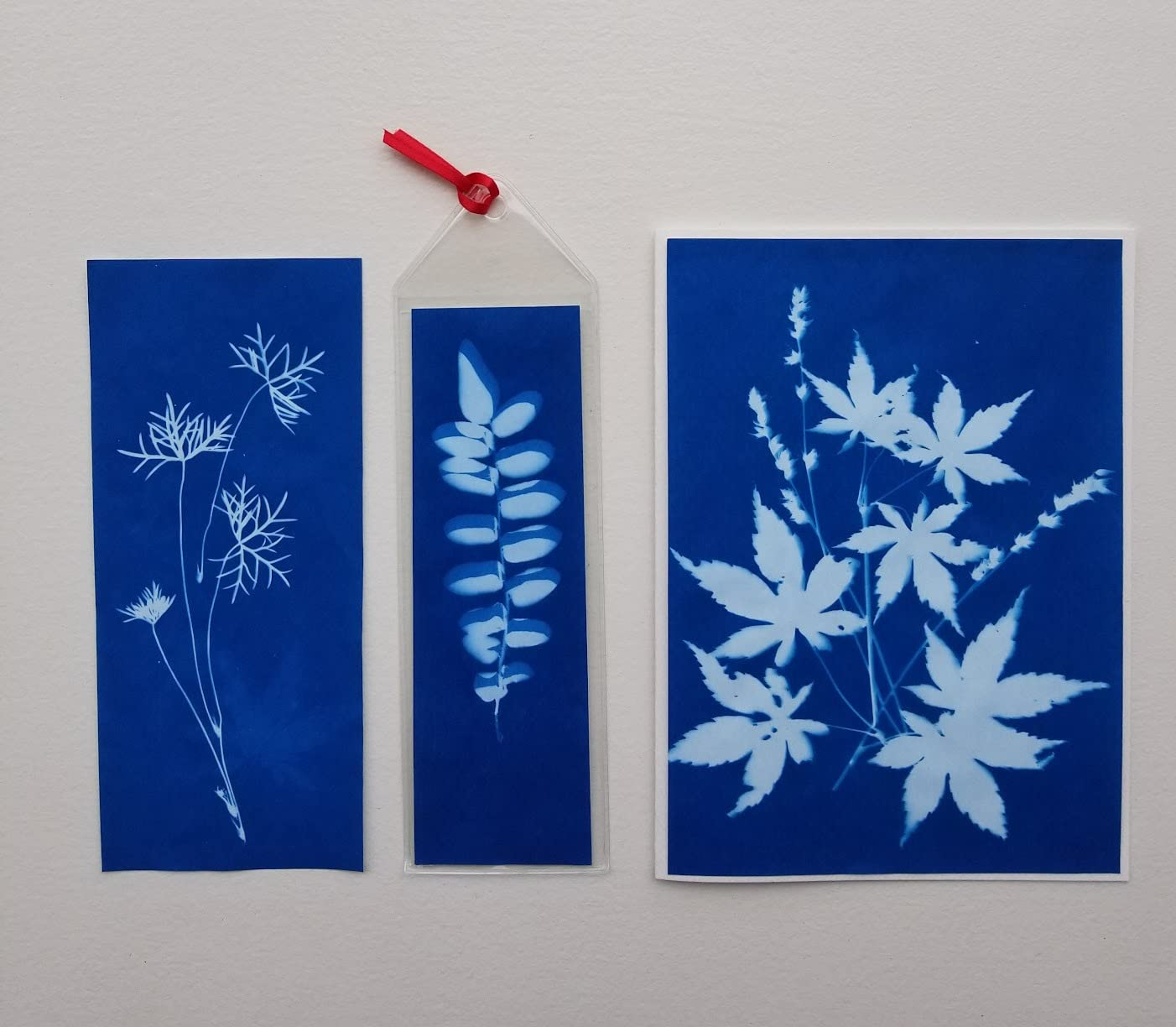 Three botanical cyanotype prints