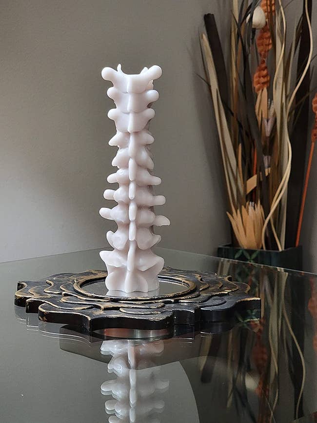 spine-shaped candle