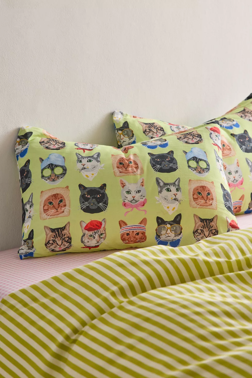 cat pillow cases