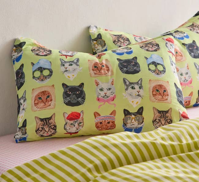 cat pillow cases