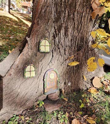 Fairy door and windows set into a tree base surrounded by autumn leaves