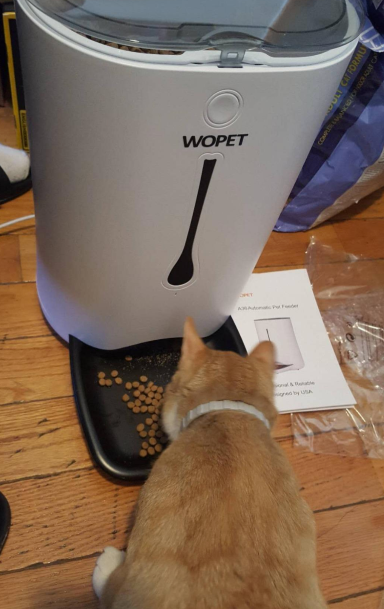 reviewer photo of cat eating from the automatic pet feeder