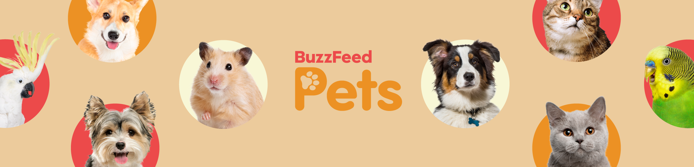 BuzzFeed pets
