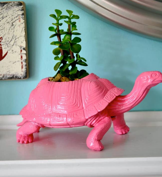 the pink turtle planter with a succulent inside