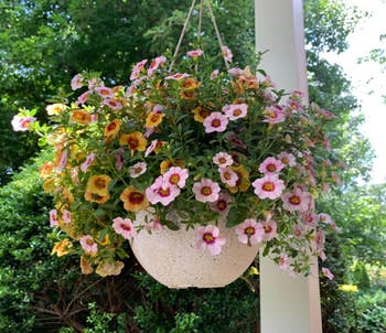 another reviewer's white speckled hanging planter with flowers growing in it