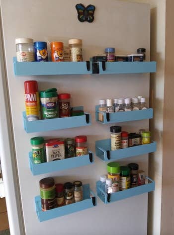 Reviewer's fridge with blue magnetic shelves holding spices and cooking supplies 