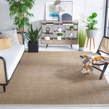 Stylish surviving  country   with plants, modern   furniture, and a textured rug connected  the floor, highlighting location  decor elements for a cozy space
