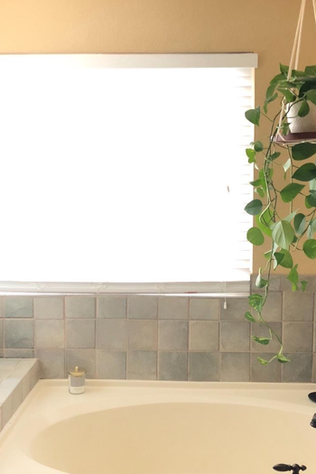 Reviewer image of plant hanging above bathtub