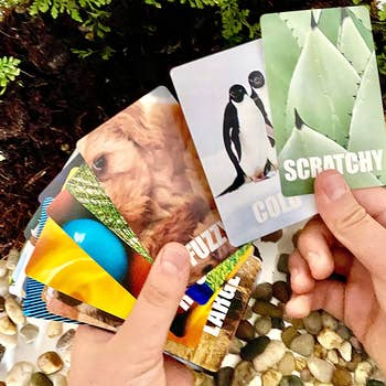 several cards with subjects like scratchy, cold, fuzzy, and more