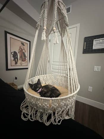 Cat lounging successful a macrame hanging seat successful a cozy country with artwork and modern decor