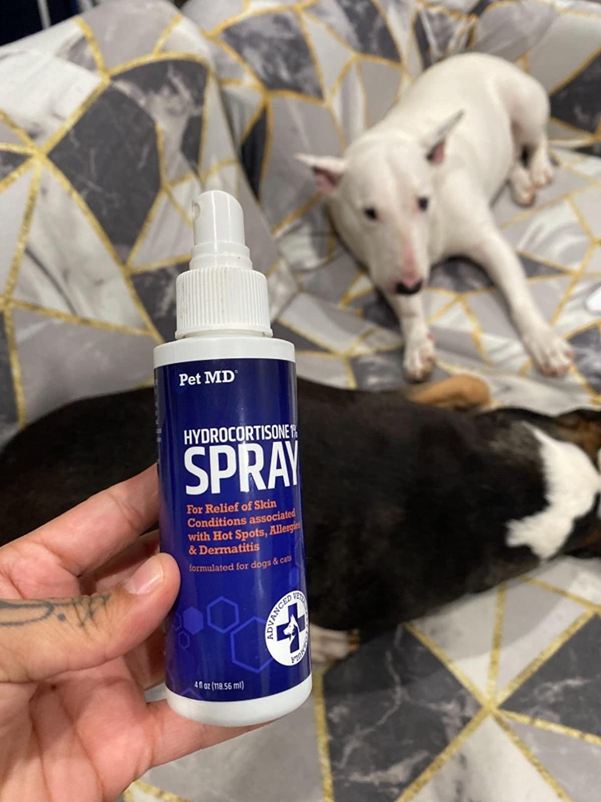 A reviewer holding up spray in front of their two dogs