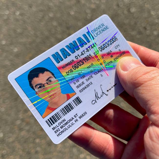 Person holding a Hawaiian operator  licence  featuring a photograph  and idiosyncratic   information
