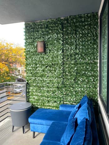 the ivy hanging on a reviewer's balcony wall