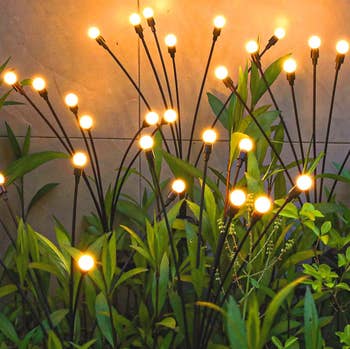 lights placed successful garden