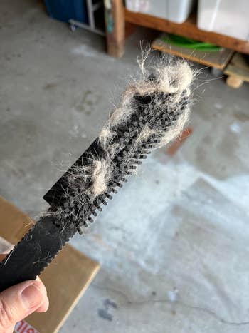 Pet grooming brushwood with escaped fur, highlighting effectual hairsbreadth removal