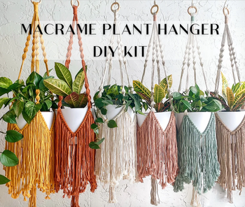 Image of six plant hangers behind text that says 