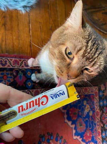 reviewer holding tube of Churu while their cat licks it
