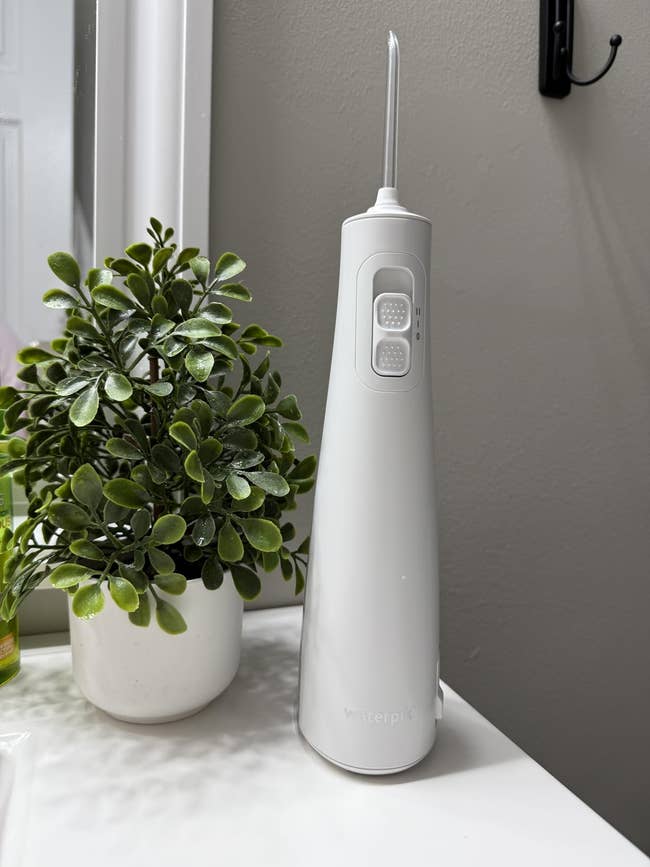 Water flosser connected a bath antagonistic adjacent to a potted plant