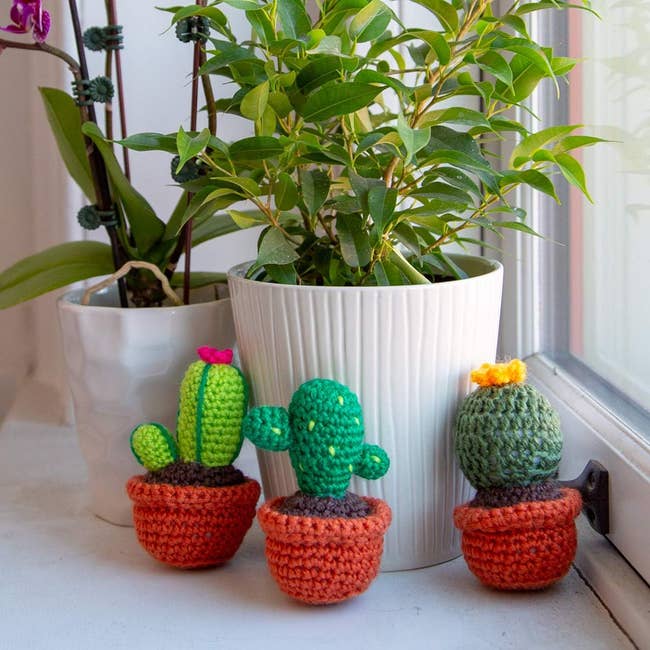 three small crochet cacti in front of real plants