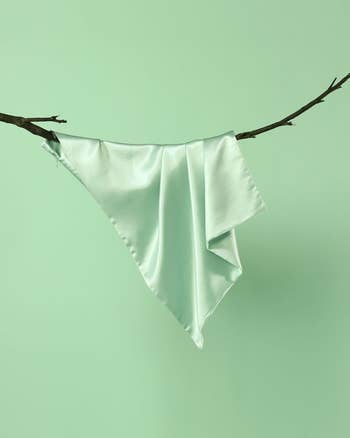 the pillow case hanging on a branch