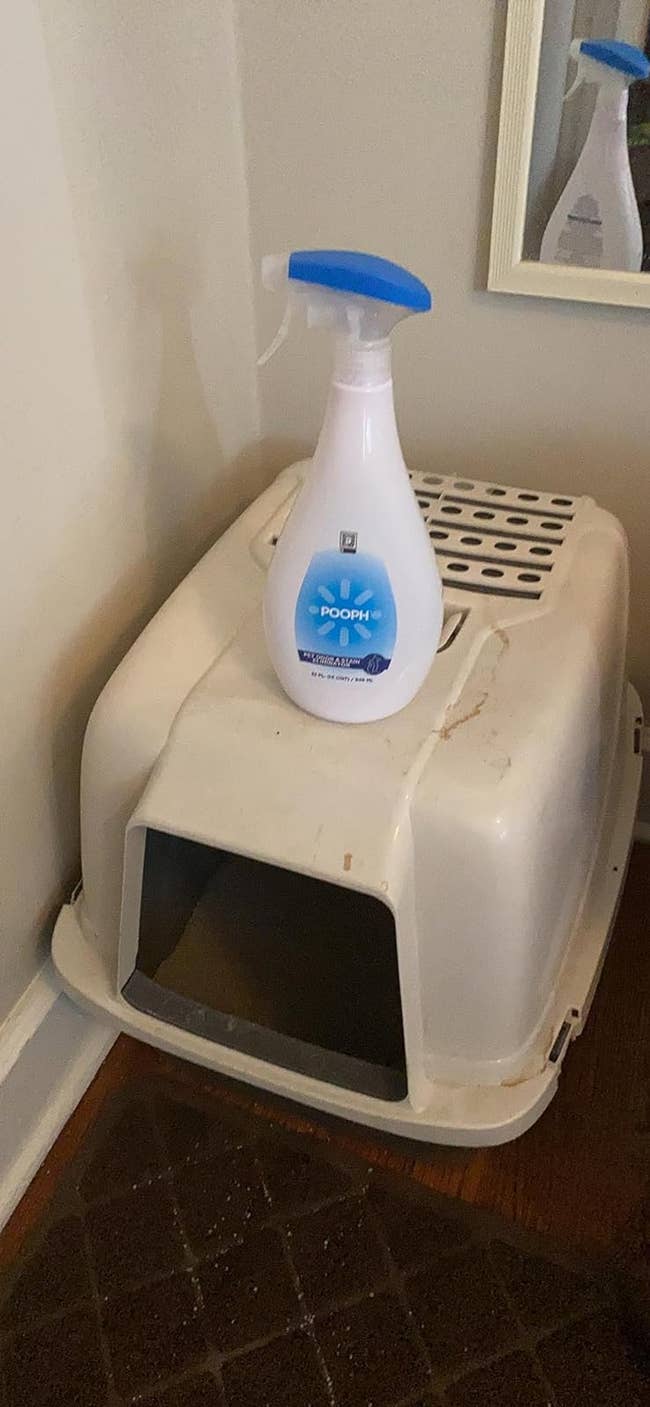 Reviewer's cleaning spray bottle on top of a litter box next to a wall