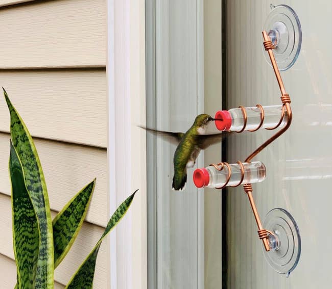a small copper hummingbird feeder that looks like a curved wire suctioned to a window. The wire is holding two glass vials and has a hummingbird flying up to one to feed from it.