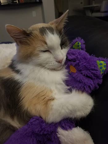 Reviewer photo of calico cat snuggling purple purr pillow