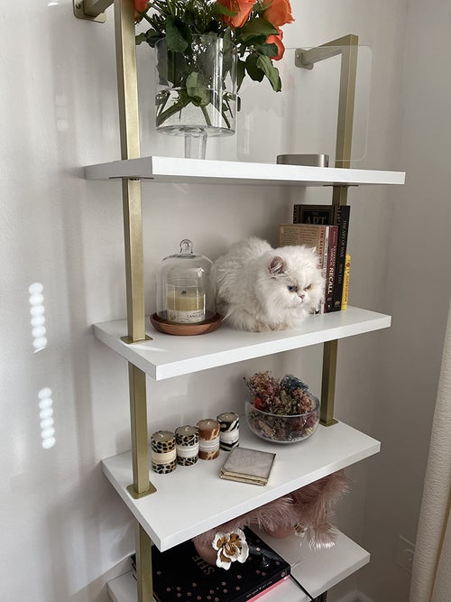 reviewer close up of the gold and white bookshelf holding decorative items and a white cat