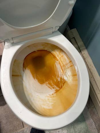 The reviewer's rust stained toilet bowl