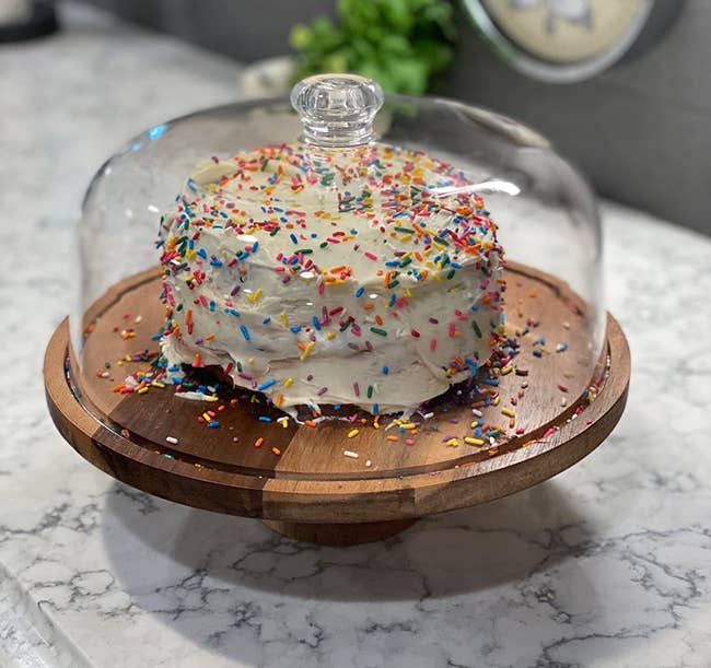 reviewer's cake stand holding a small sprinkled cake