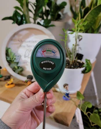 reviewer holding up the moisture meter with plants in the background