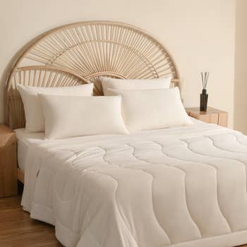 the comforter successful white