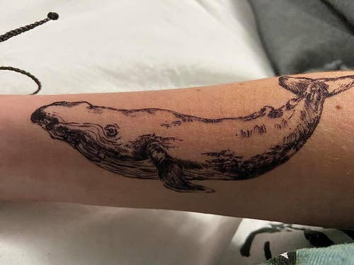 A reviewer's arm with a humpack whale drawn on with the black marker