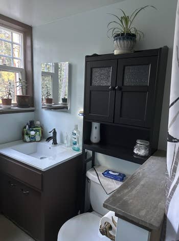 Bathroom with plants on the window ledge, toiletries on the sink, and a dark cabinet above the toilet