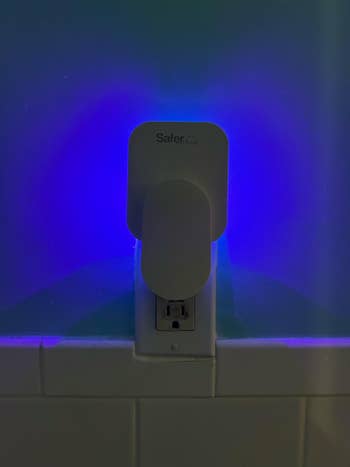 the trap plugged into the wall, showing the blue light it emits
