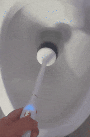 another reviewer turning on electric toilet brush and using it in the bowl