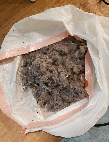 A garbage bag full of dryer vent lint 