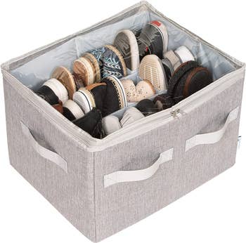 storage container with divided shoe compartments