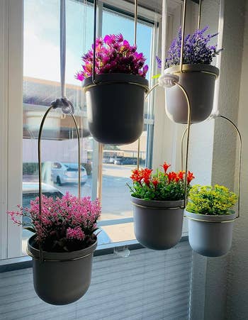 Hanging flower pots with a variety of plants in front of a window